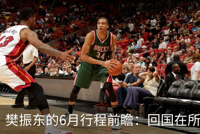 樊振东的6月行程前瞻：回国在所难免，他会与王励勤见面吗？